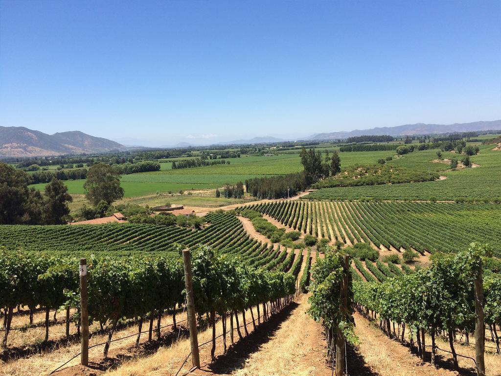 فندق Noi Blend Colchagua سانتا كروز المظهر الخارجي الصورة