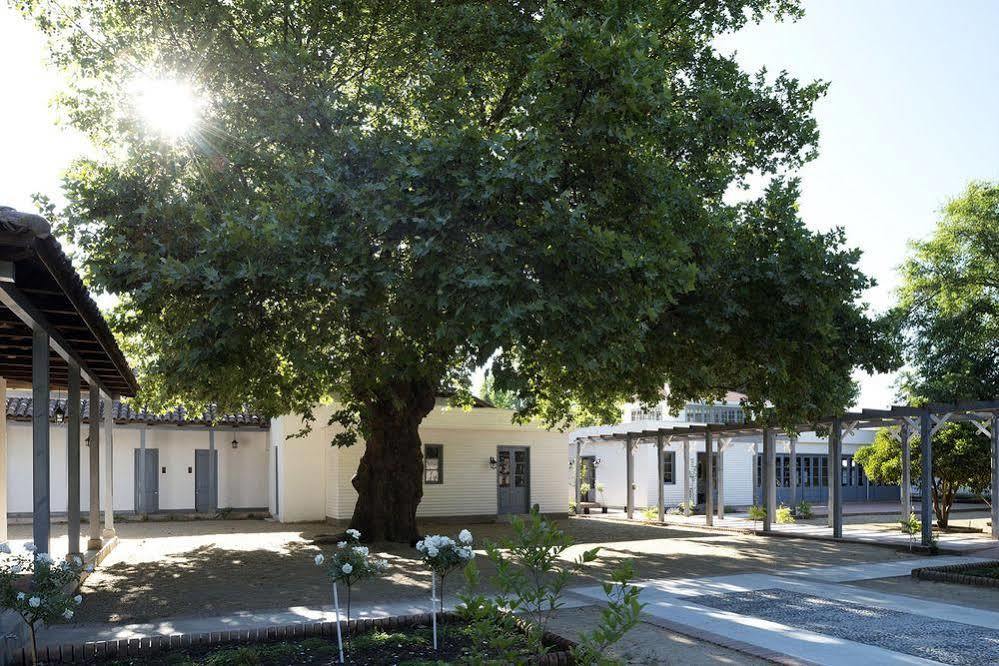 فندق Noi Blend Colchagua سانتا كروز المظهر الخارجي الصورة